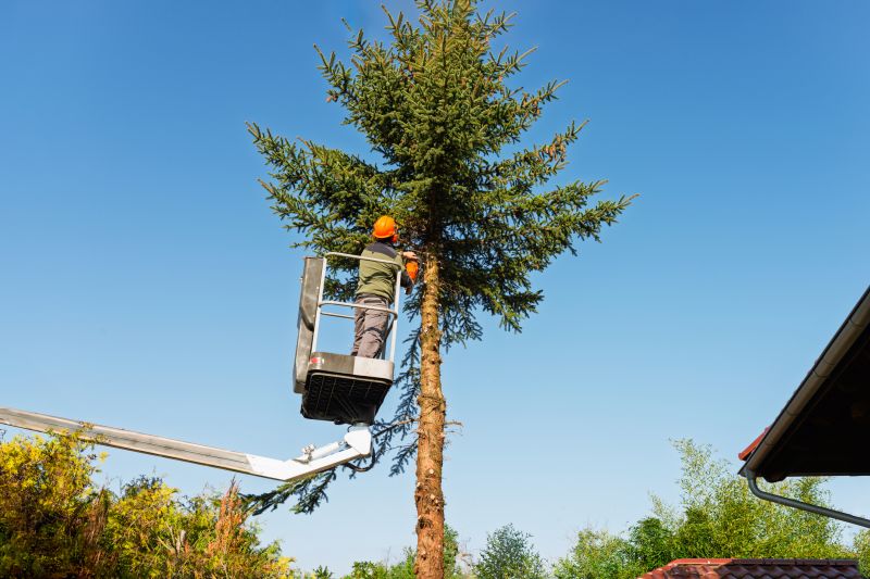 Ornamental Tree Trimming