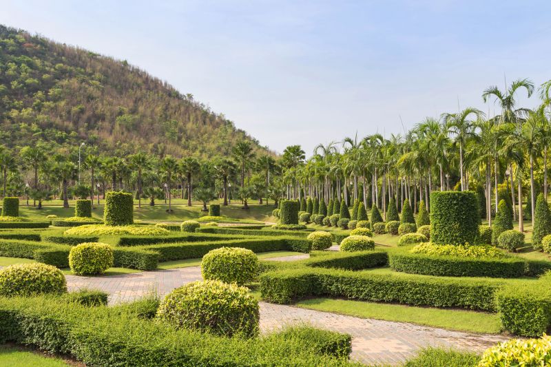 Completed Ornamental Tree Trimming